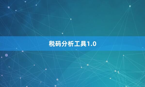 税码分析工具1.0