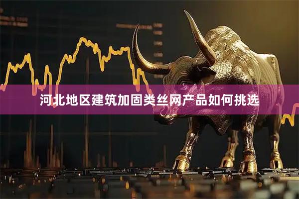 河北地区建筑加固类丝网产品如何挑选