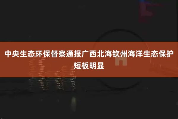 中央生态环保督察通报广西北海钦州海洋生态保护短板明显