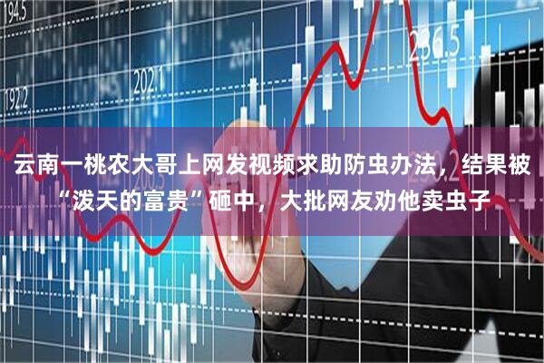 云南一桃农大哥上网发视频求助防虫办法，结果被“泼天的富贵”砸中，大批网友劝他卖虫子